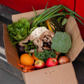 How To Choose The Best Produce Grocery Subscription Boxes For Organic Farm Produce