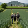 Experience Wellness With Organic Agricultural Farm Tours & Fresh Produce Near Los Angeles