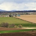 The Distinction Between Farm and Facility: Understanding the Definition of a Farm