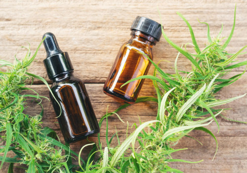 Forbidden v Strain Terpene Profile Explained: Myrcene, Ocimene & More