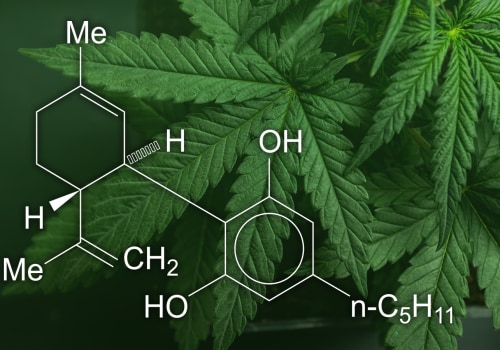 Why Many Studies Show CBD Reduces Anxiety More Reliably than THC