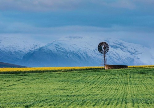 Farms vs Ranches: Understanding the Differences